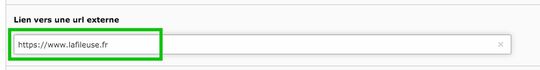 Adresse de site renseignée pour une actualité de type "Page externe"
