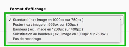 Les différents formats d'affichage applicables à une image dans une actualité