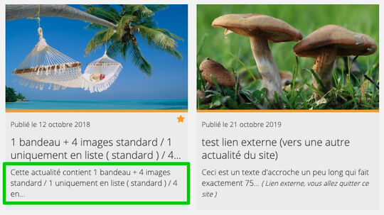 Exemple de texte d'accroche tronqué d'une actualité en vue de liste